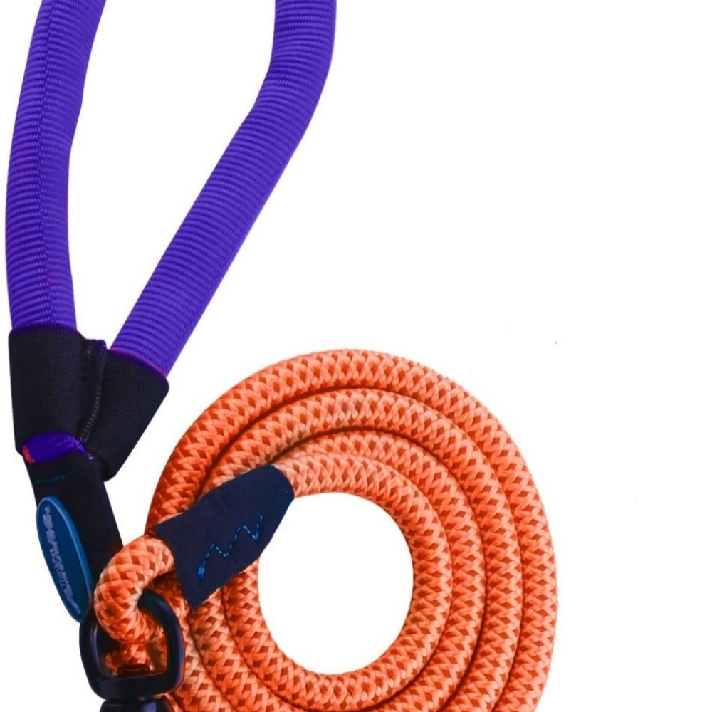 Backpack for Small Dog-Size small - Picture 4 of 5